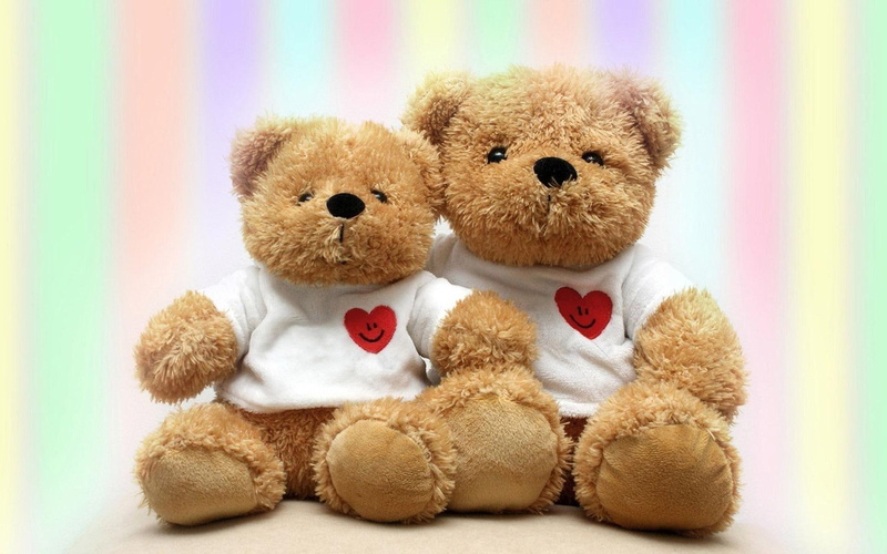 toy, teddy, 1920x1200, plush, love, photography, teddy bear, 1080P, bear, bears, brown