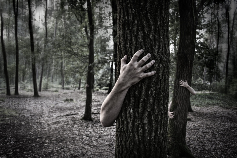 nightmare, day, one person, halloween, horror, spooky, evil, mystery, scary, tree, forest, adult, hands, poster, middle, outdoors, plant, trunks, men, haunted