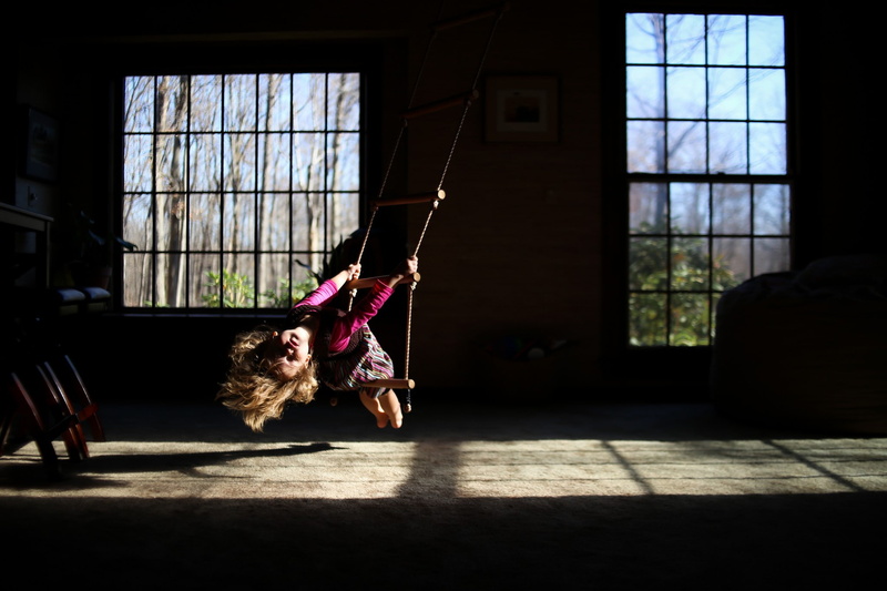 1080P, mammal, full length, shadow, sunlight, window, canine, domestic, indoors, vertebrate, pets, one person, architecture, nature, sun rays, swing, day