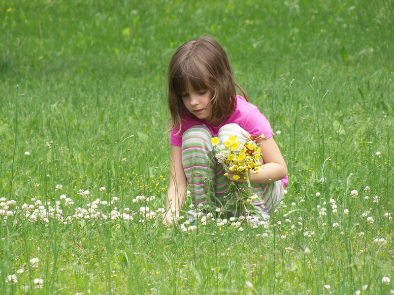 childhood, land, innocence, 4K, caucasian Ethnicity, picking, fun, beautiful, little, joy, spring, pick, outdoors, outdoor, smiling, grass, one person