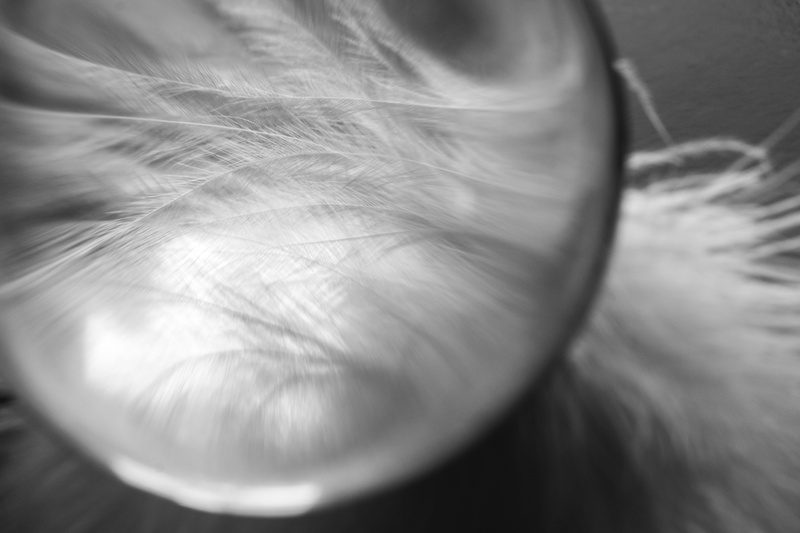 slightly, creative, outdoors, hair, human body part, 5K, lightweight, bird feather, glass ball, macro, women, white, nahaufmahme, close-up, airy, body part
