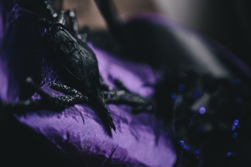 purity, focus on foreground, macro, selective focus, nature, spooky, decorations, plant, flower, flower head, wet, skull, extreme close-up, beauty in nature