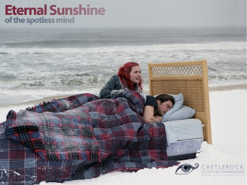 Eternal Sunshine Of The Spotless Mind, 480P, plaid, gray, comforter, Movie, red