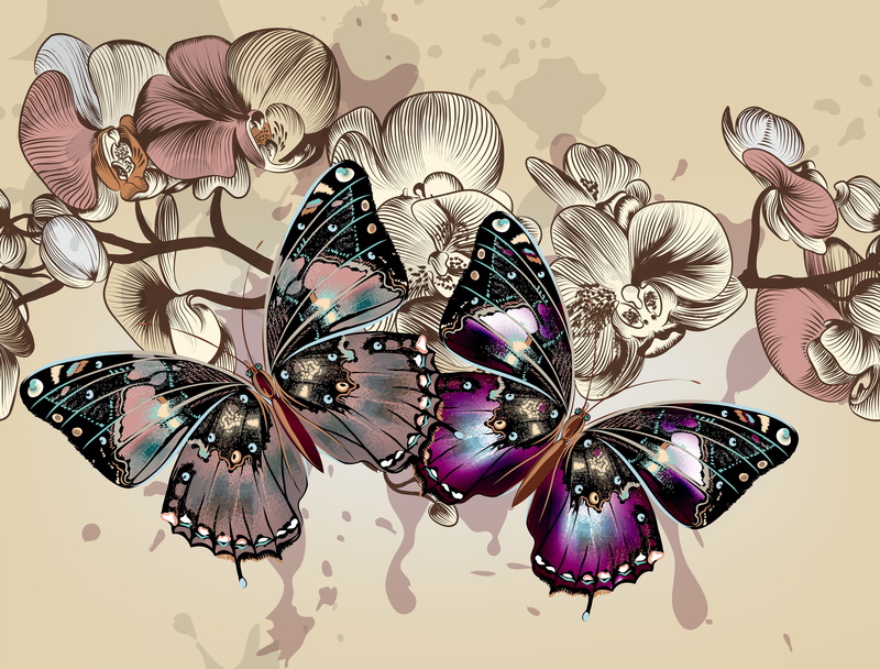 flying, still life, close-up, nature, pattern, summer, computer Graphic, butterfly - Insect, luxury, table, animal, two, 4K, multi Colored, flower, white background