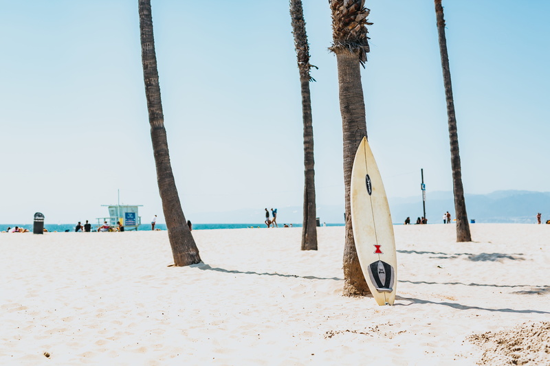 summer, surfboard, cold temperature, scenics - nature, swing, outdoors, selective, tranquil scene, water, day, palm tree, wooden post, photography