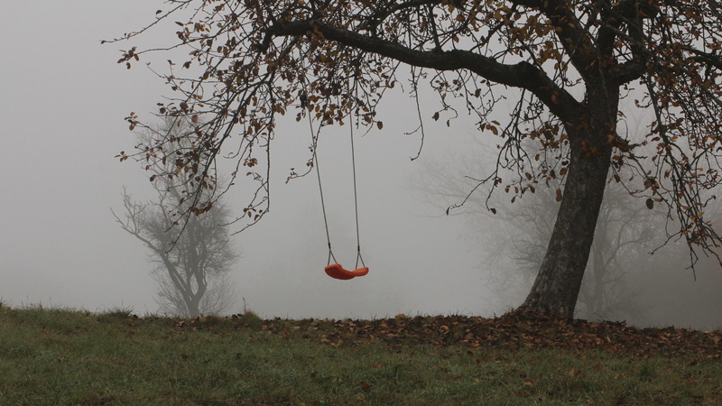 2K, landscape, outdoors, mist, trees, swings