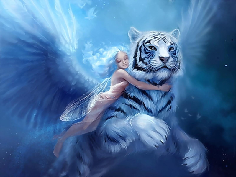 Fairy, Fantasy, 720P