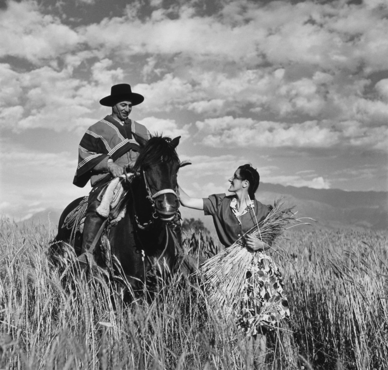 pets, indio, mid adult, Gaucho, arabs, outdoors, domestic animals, nature, riding, livestock, 1940, field, Reiter, plant, one animal, Ride, mammal, land