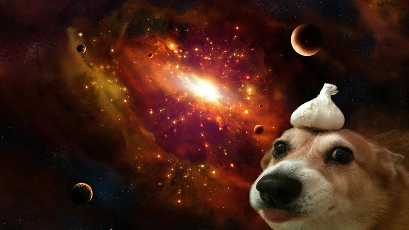 Corgi, dog, 1080P, universe, space, Garlic