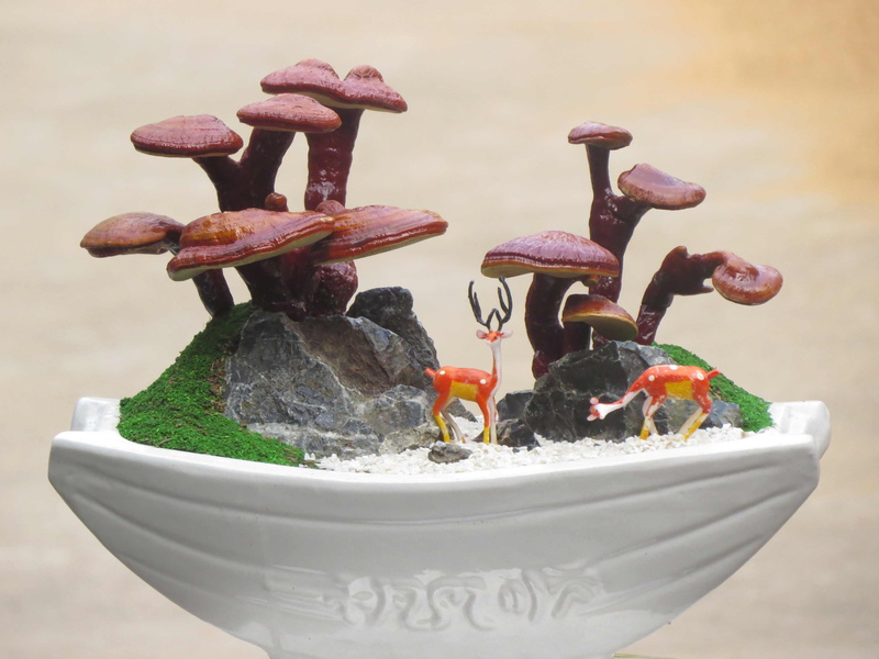 rusty, art and craft, still life, no people, ganoderma lucidum land scape, splashing, indoors, animal representation, reishi landscape, nature, metal, faucet