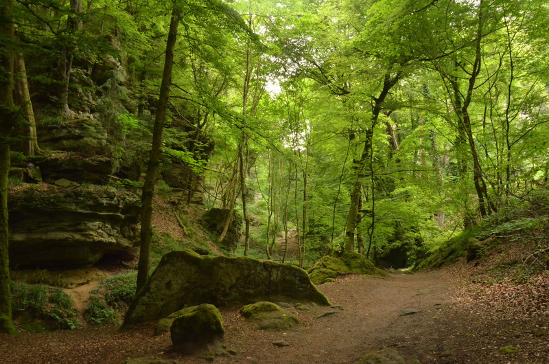 summer, rock, green leaf, tranquil Scene, beauty In Nature, growth, flowing, trees, landscapes, outdoors, foliage, leaf, luxembourg, landscape, the way forward
