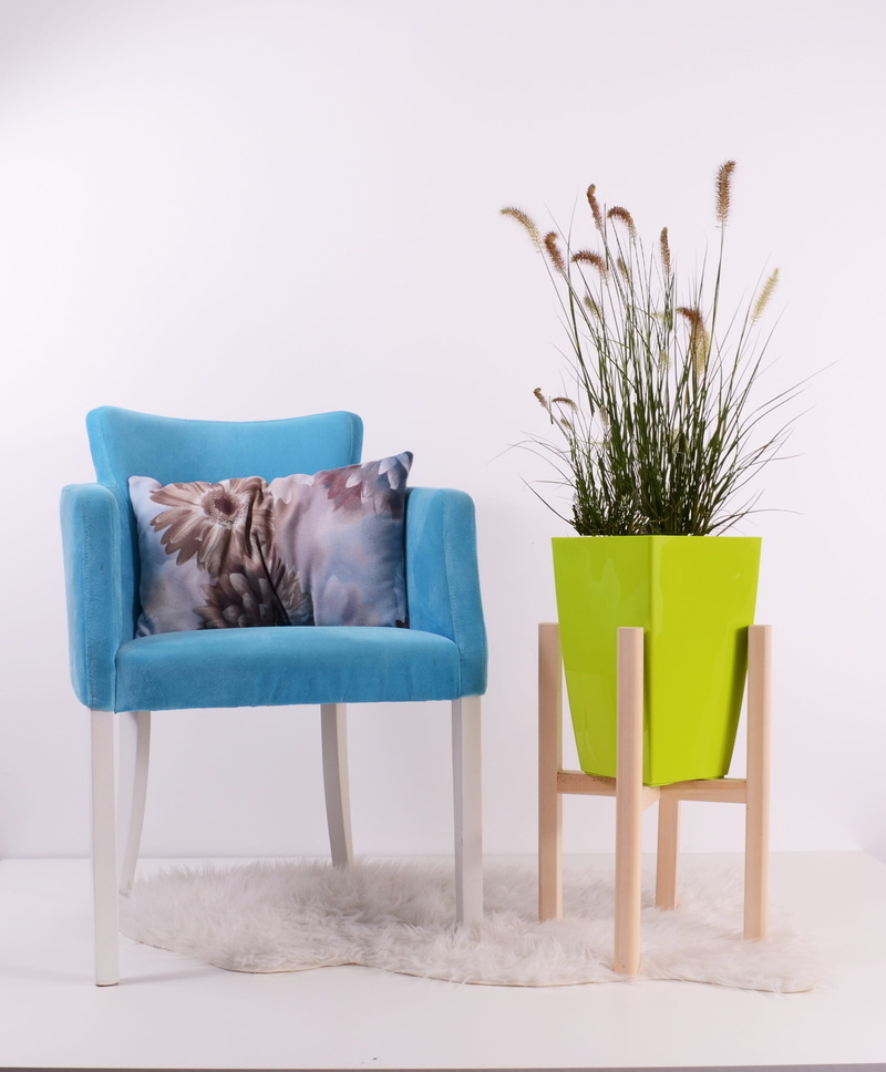 nature, modern, living room, armchair, no people, leaf, flowerpots, elegance, table, mammal, seat, domestic animals, lifestyle, interior, blue, animal
