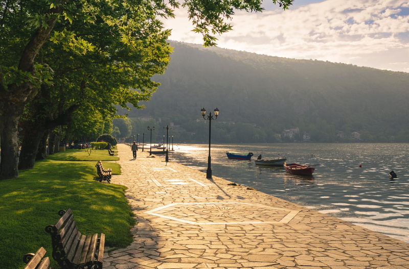 growth, tranquility, atmosphere, bright, shining, no people, direction, water, day, branches, footpath, forest, grass, green, tree, sunlight, transportation