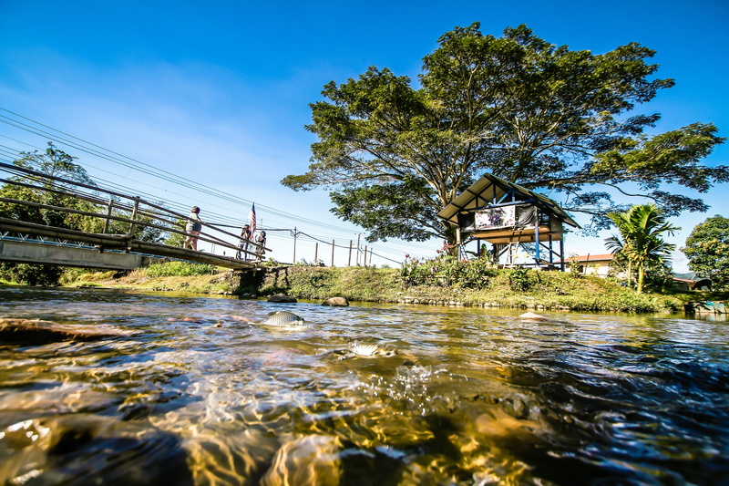 sunlight, built structure, summer, ecological, connection, flowing water, nature, bridge, eco, environmentally, water, green, environment, 5K, bridge - man made structure