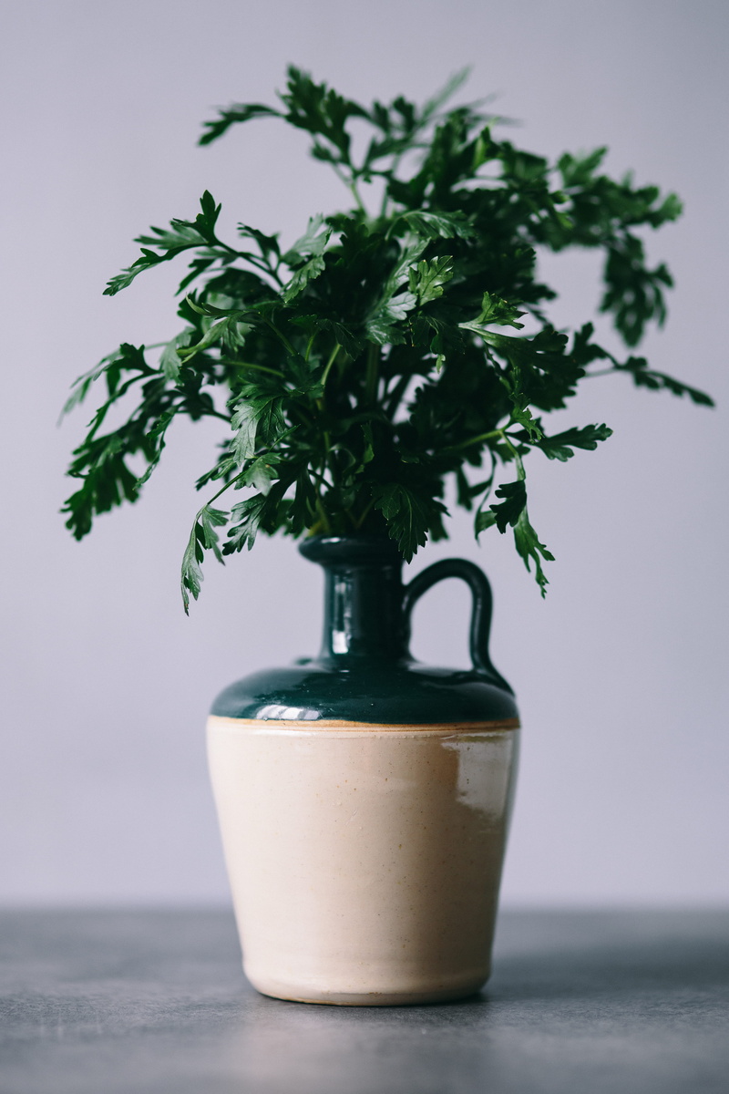 growth, parslel, greenery, green color, still life, flower Pot, table, studio shot, green peas, no people, green, nature, spices, plant, vegetables, cucumbers