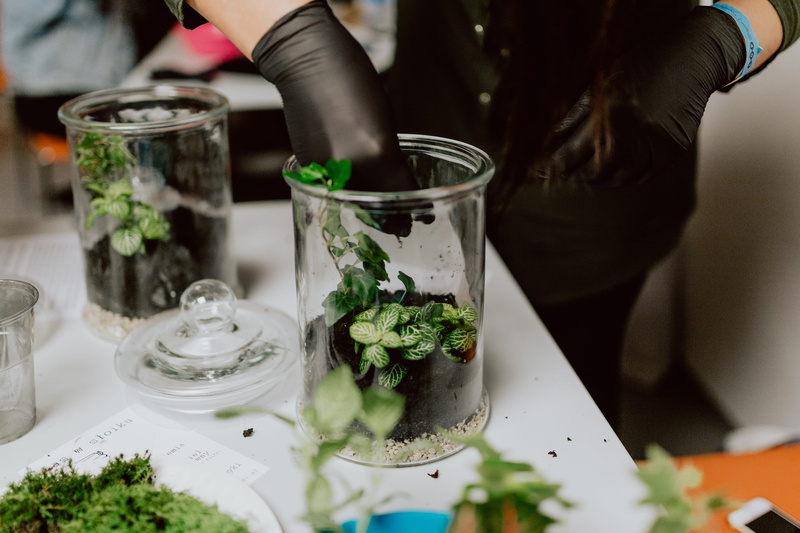 leaf, household equipment, garden, selective focus, close-up, indoors, diy, terrarium, mojito, adult, do it yourself, forest, building, one person, plants