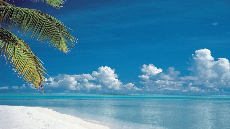 paradise beach, blue, sea, sky, water, beach, paradise, blue sky, tree, clouds, 720P