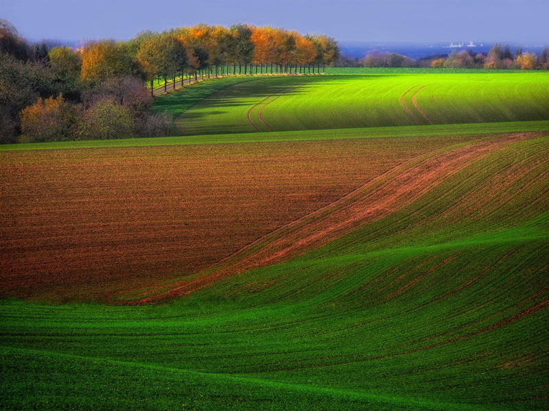 Farm, Trees, Green, Brown, Field, 1080P, Scenery, Beautiful, Autumn
