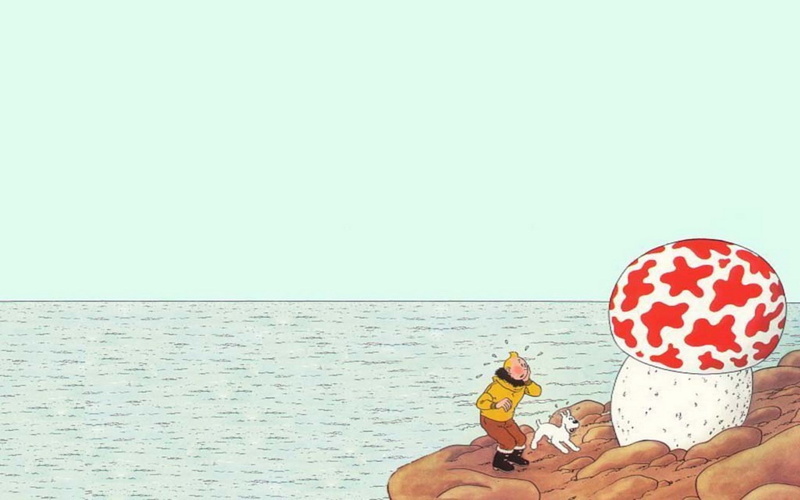 water, horizon over water, sky, holiday, copy space, horizon, sitting, mammal, adult, 1080P, sea, leisure activity, beach, the adventures of tintin, trip