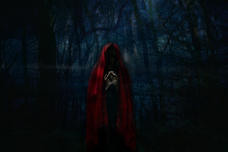 nature, one person, adult, women, red, plant, indoors, mantle, ghost, emotion, horror, standing, fear, dark, tree, hood, land, 2K, hood - clothing, woodland