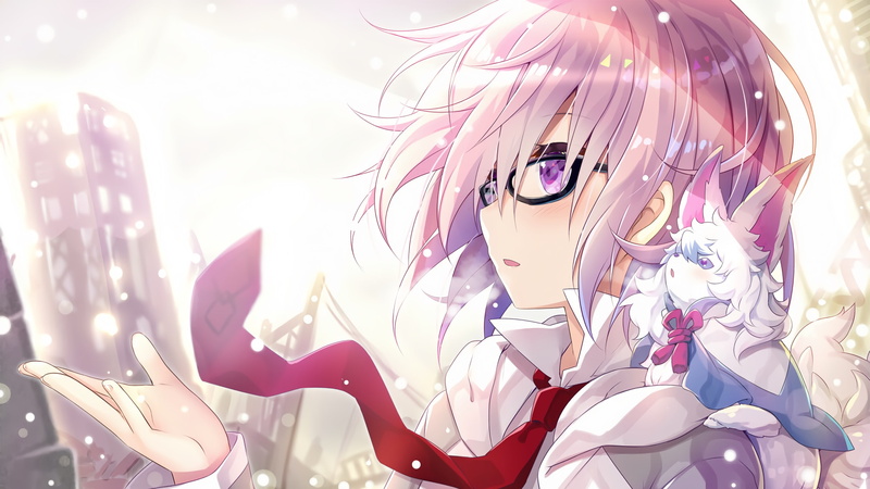 2K, FateGrand Order, Fate Series, Mashu Kyrielight