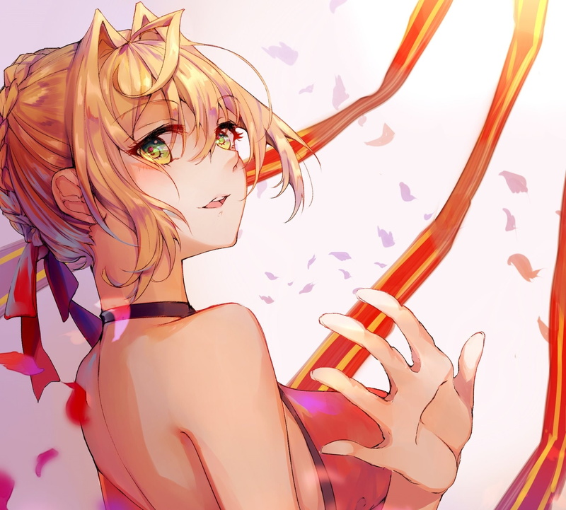 1080P, Saber (Fate Series), Fate Series, Nero Claudius, Fate/Extra