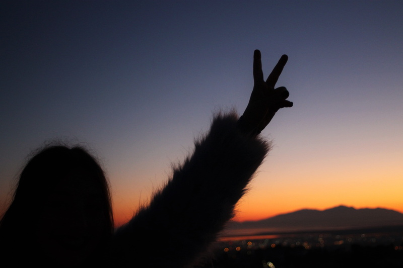 finger, back lit, outdoors, sky, dusk, orange color, silhouette, nature, copy space, happy, people, sunset, sign, one animal, hand, vertebrate, girl, animal wildlife