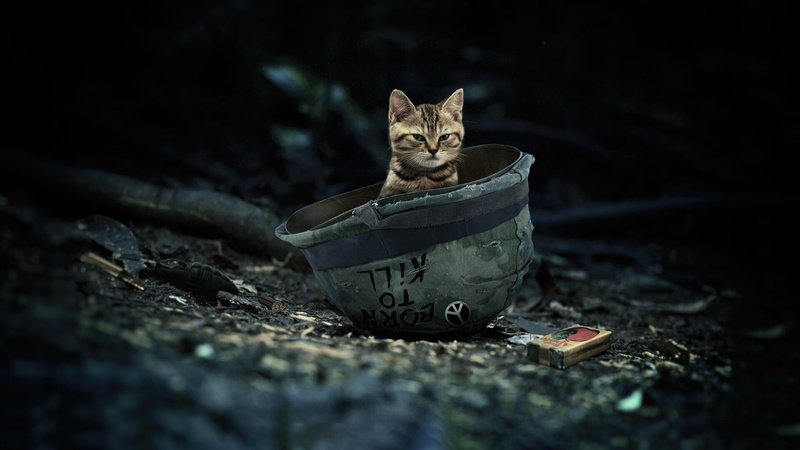 animals, 1080P, cats, peace sign, helmet, Full Metal Jacket, mammals