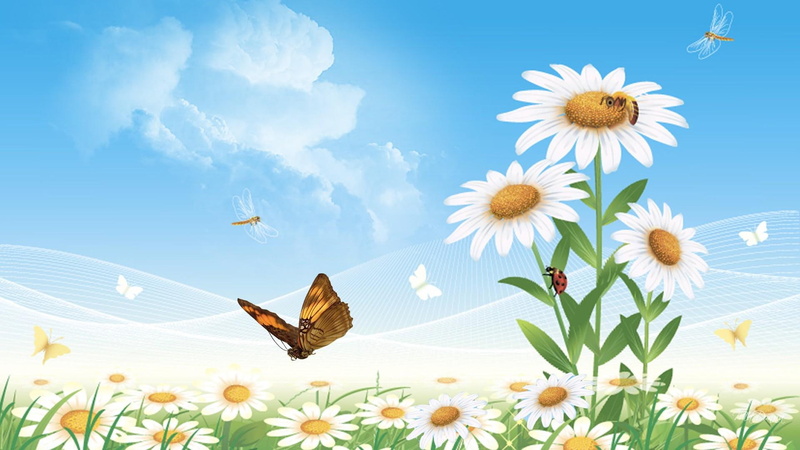 power, dragonflies, daisies, 3d and abst, lady bug, clouds, butterfly, spring, ladybug, field, 1080P, daisy