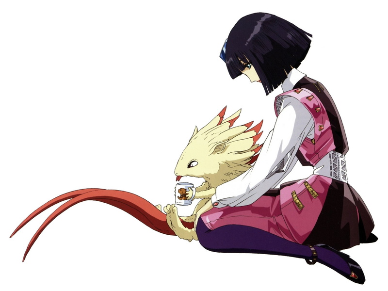 The Five Star Stories, Anime, 1080P