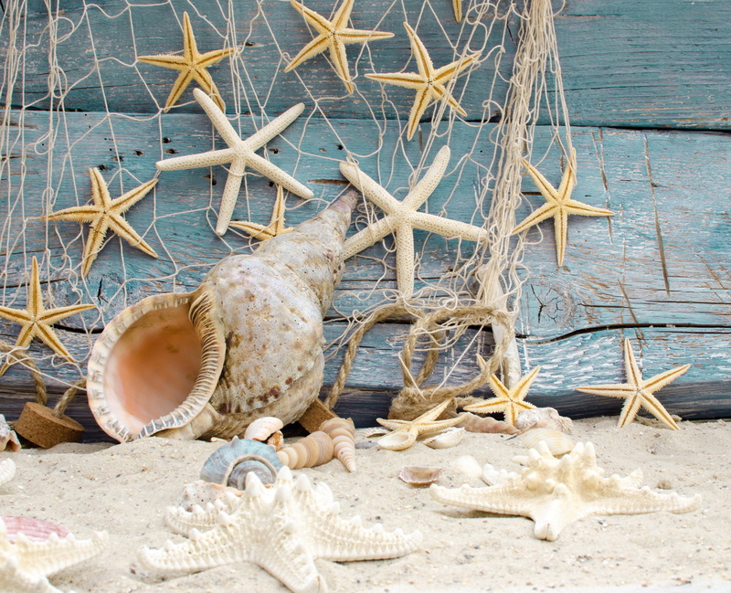 sand, shell, marine, lot, 2K, starfishes, starfish, seashells, stars, beach, wood