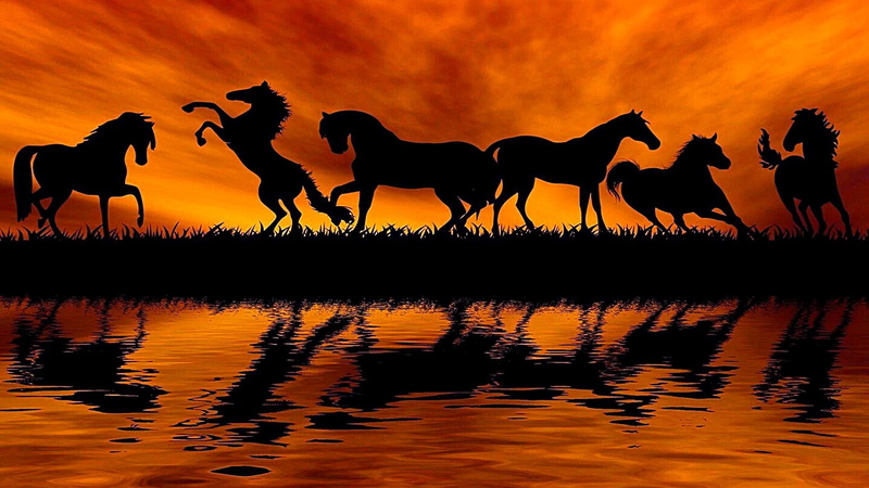 sunset, mustang horse, nature, beauty in nature, animal themes, animal, silhouette, mammal, group of animals, sky, mane, water, domestic animals, camel