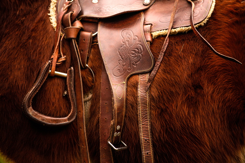 cowboy, 5K, equipment, mammal, human hand, dressage, equestrian, stallion, chestnut, aggression, gun, leather, brown, weapon, bridle, close-up, domestic animals