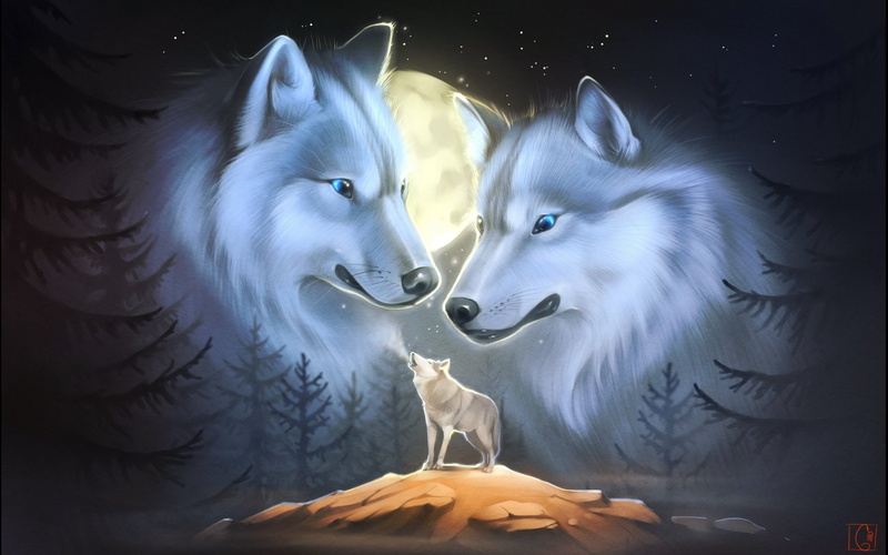 fantasy, 2K, Carnivore, Moon, night, wolves, artwork, wolf, predator