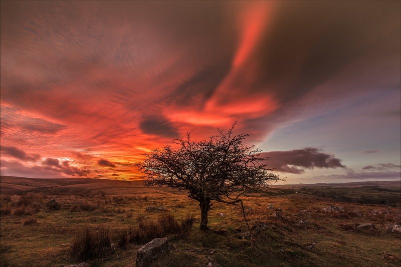 skyscape, plains, sunset, trees, 2K, landscape, clouds, orange sky