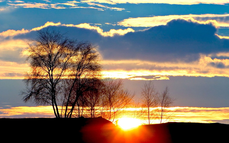 skyscape, trees, winter, landscape, sunset, 1080P
