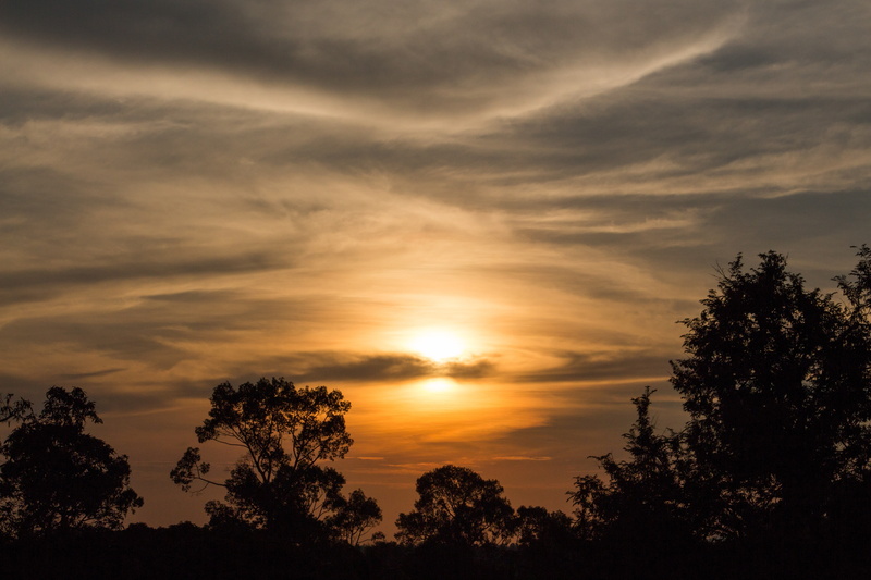 skyscape, trees, tranquility, low angle view, growth, orange color, sunset, nature, outdoors, silhouette, beauty in nature, Cambodia, dramatic sky, sunlight
