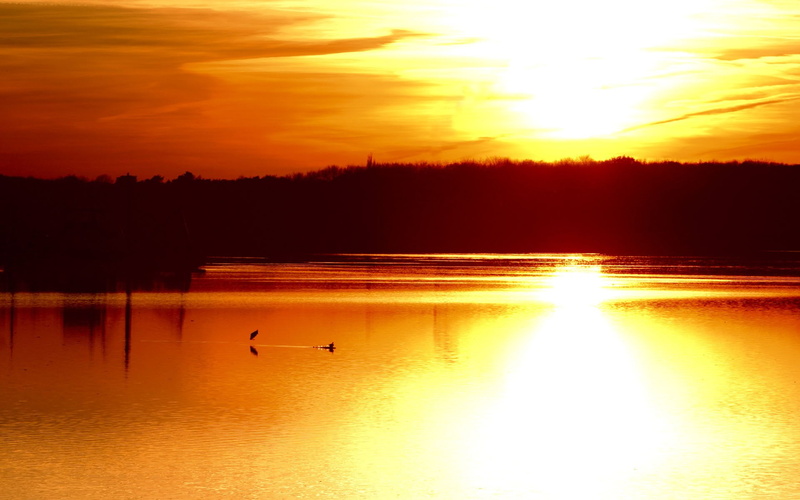 trees, skyscape, reflection, landscape, sunset, 1080P