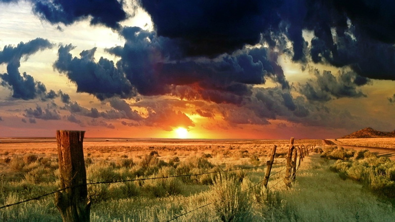 horizon, 1080P, overcast, field, landscape, skyscape, nature