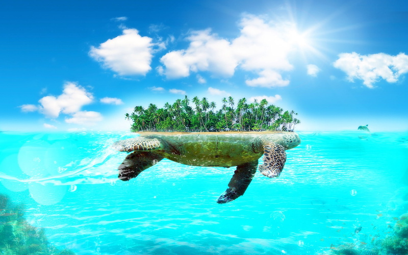 nature, ocean, art, 1080P, Blue, ISLAND, oceans, hd, sky, Turtle