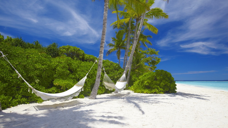1080P, beach, trees, nature, hammock, palm, tropical, hd