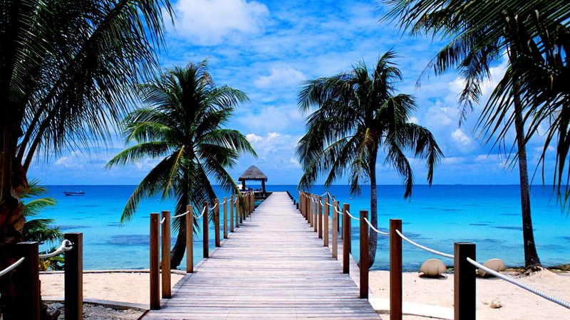beach, 1080P, nature and landscapes, nature, ocean, pier, tropical, palm trees