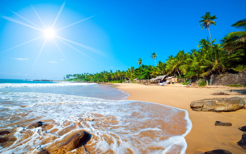 forest, hd, tropical, water, jaffna, palm tree, idyllic, exotic, tranquil scene, sunlight, plant, sun, clear sky, 4K, land, tropical climate
