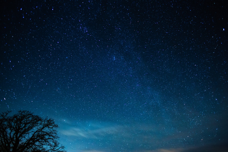 radio telescope, panoramic, scenery, milky way, tree, outer space, nature, star - space, space, wilderness, sky, nebula, idyllic, low angle view, starry sky