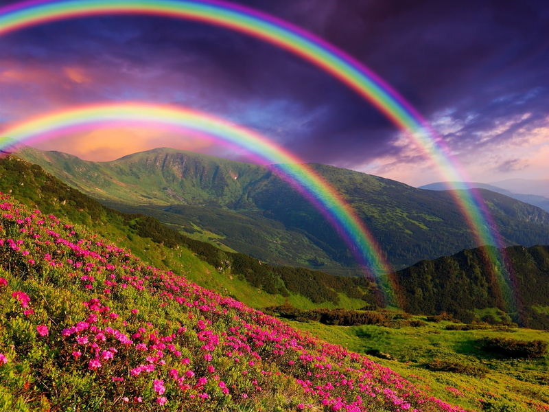Landscape, Flowers, 2K, Rainbow, Mountains, Nature