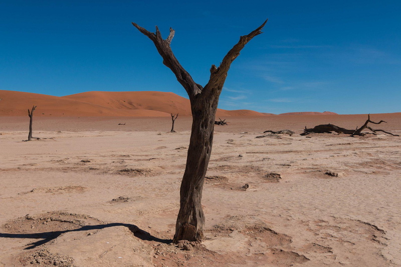 deserts, resolution, 1080P, desertss, nature, landscapes, high
