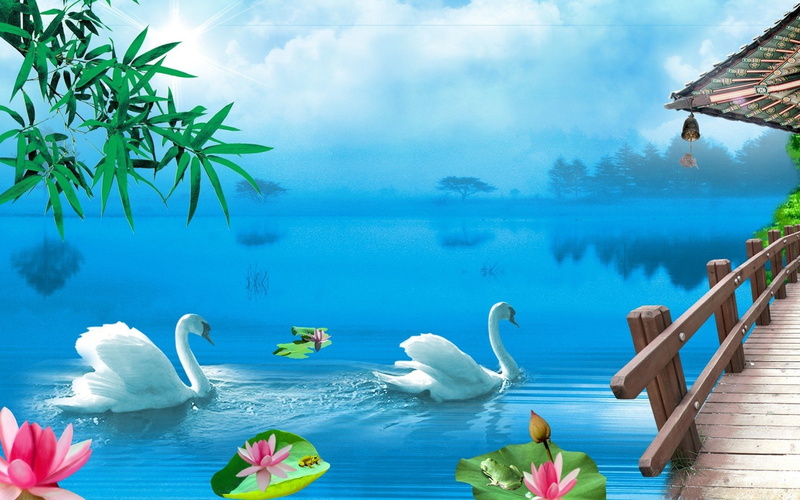 Lotus, Painting, Swan, 1080P, Lake, Artistic
