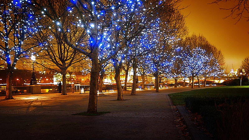 animals, light, string, 1080P, fascinating, awesome, beauty, christmas, blue, lighted, cool, lights, blue amazing, warm