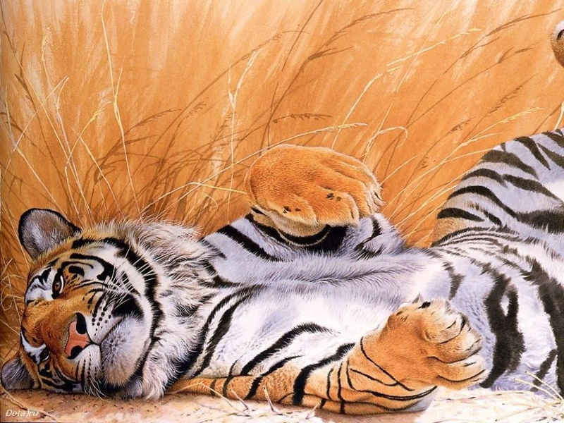 tiger, 480P, beautiful, big cats, art, cats, hd, big, animals