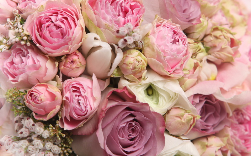 rose, cool, flowers, romantic, beautiful, flower, nice, bouquet, beauty, 2K, roses, pretty, lovely, romance